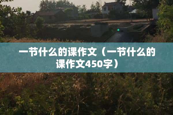 一节什么的课作文（一节什么的课作文450字）