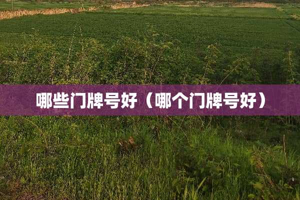 哪些门牌号好（哪个门牌号好）