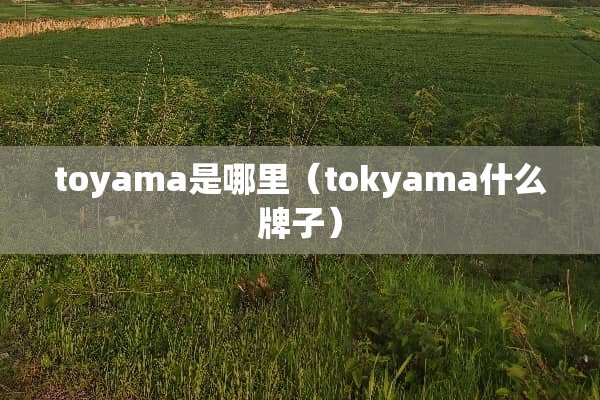toyama是哪里（tokyama什么牌子）