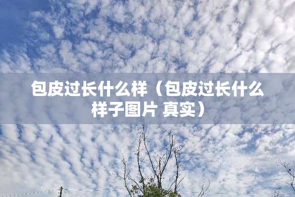 包皮过长什么样（包皮过长什么样子图片 真实）