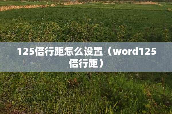 125倍行距怎么设置（word125倍行距）