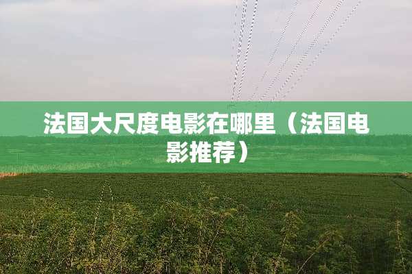 法国大尺度电影在哪里（法国电影推荐）