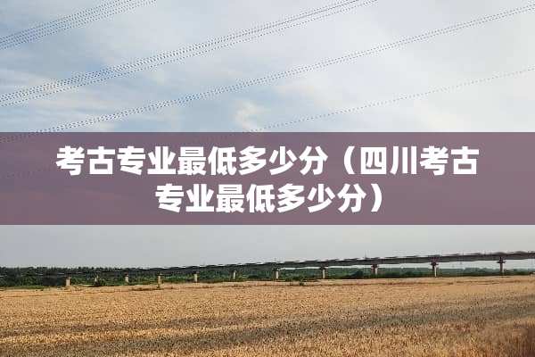 考古专业最低多少分（四川考古专业最低多少分）