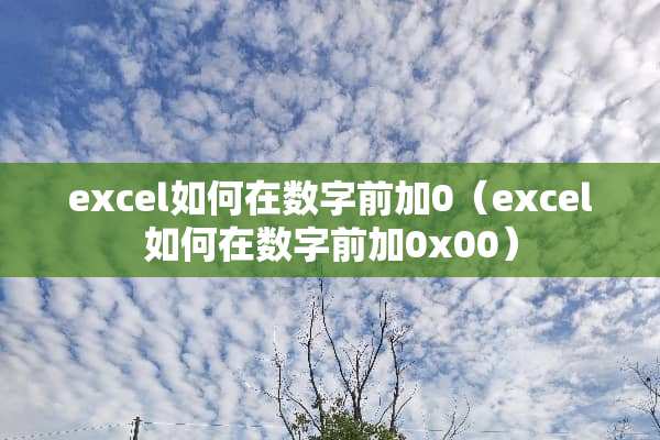 excel如何在数字前加0（excel如何在数字前加0x00）