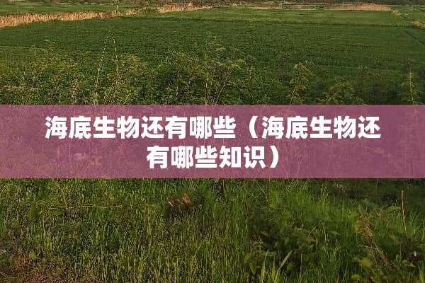 海底生物还有哪些（海底生物还有哪些知识）