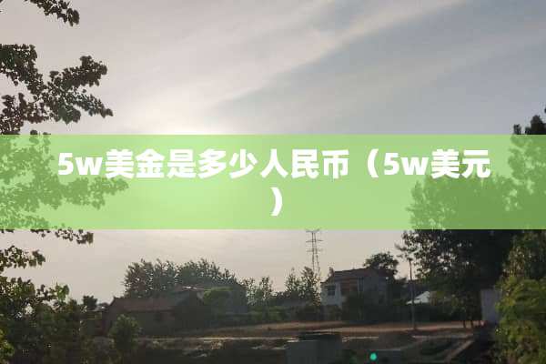 5w美金是多少人民币（5w美元）