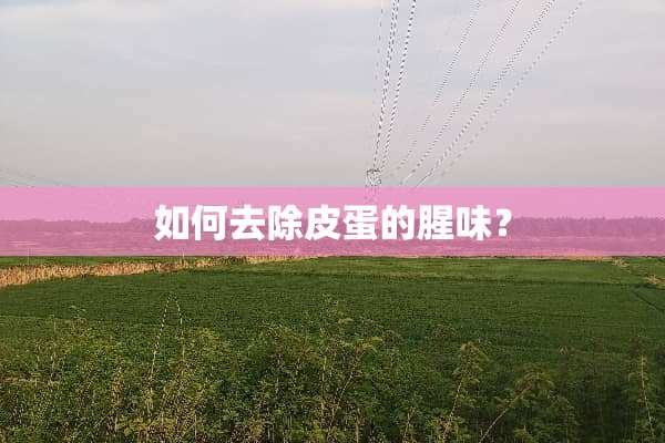如何去除皮蛋的腥味？