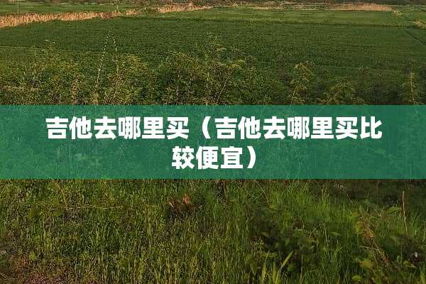 吉他去哪里买（吉他去哪里买比较便宜）