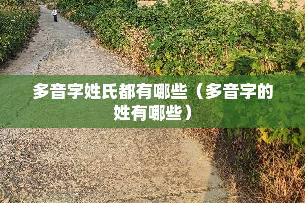 多音字姓氏都有哪些（多音字的姓有哪些）