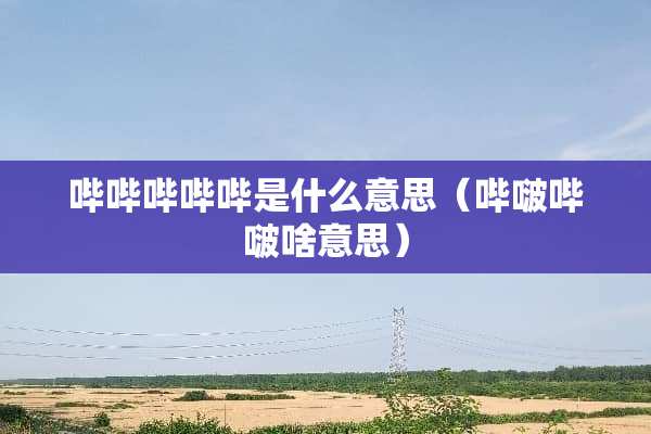 哔哔哔哔哔是什么意思（哔啵哔啵啥意思）