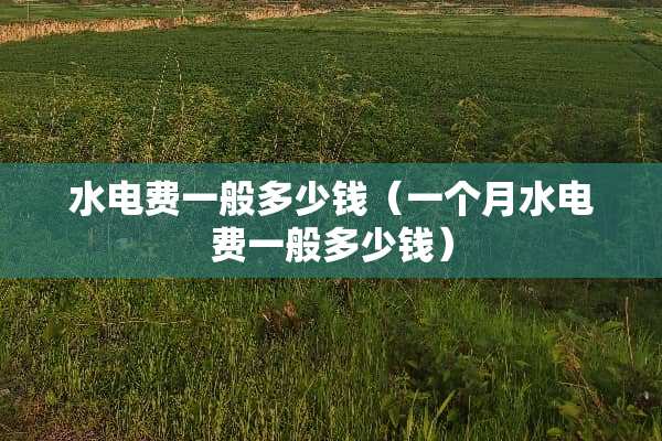 水电费一般多少钱（一个月水电费一般多少钱）