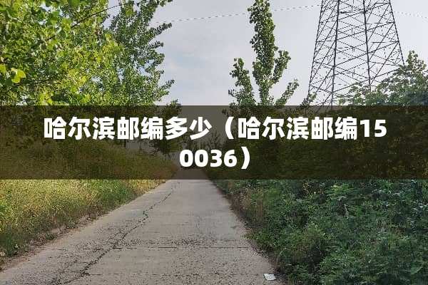 哈尔滨邮编多少（哈尔滨邮编150036）