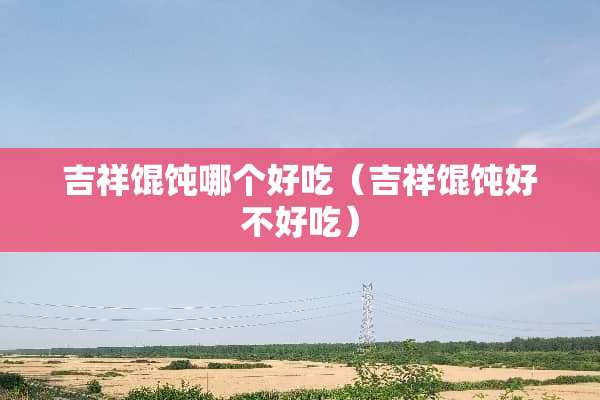 吉祥馄饨哪个好吃（吉祥馄饨好不好吃）