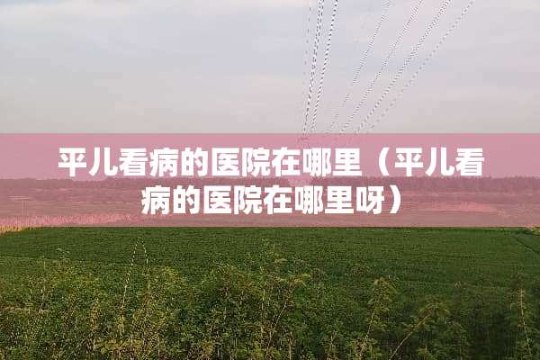 平儿看病的医院在哪里（平儿看病的医院在哪里呀）