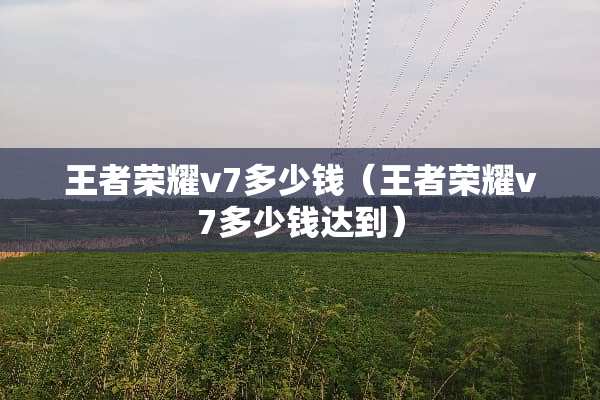 王者荣耀v7多少钱（王者荣耀v7多少**到）