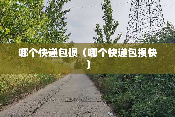 哪个快递包损（哪个快递包损快）