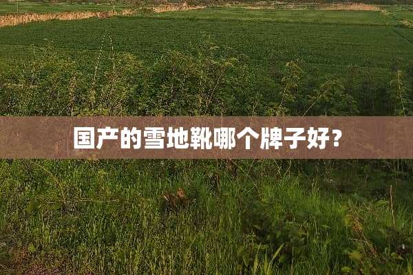 国产的雪地靴哪个牌子好？