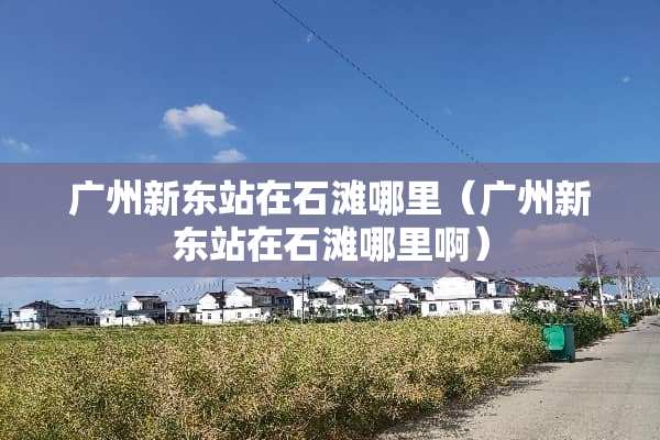 广州新东站在石滩哪里（广州新东站在石滩哪里啊）