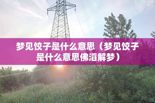 梦见饺子是什么意思（梦见饺子是什么意思佛滔解梦）