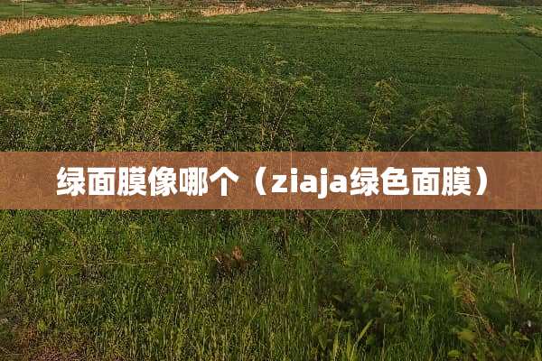 绿面膜像哪个（ziaja绿色面膜）