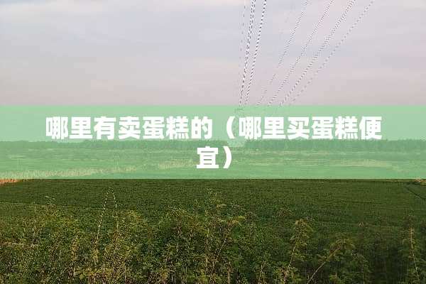 哪里有卖蛋糕的（哪里买蛋糕便宜）