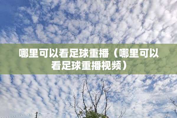 哪里可以看足球重播（哪里可以看足球重播视频）