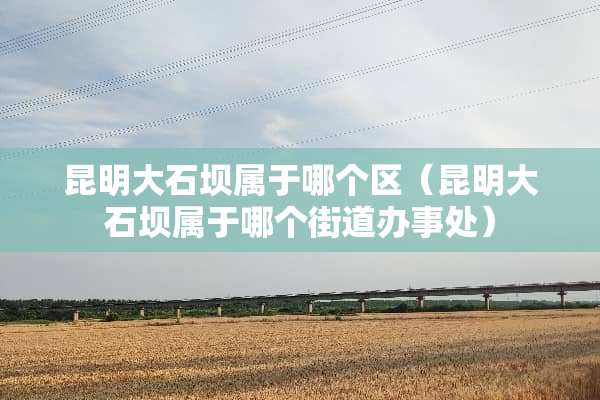 昆明大石坝属于哪个区（昆明大石坝属于哪个街道办事处）