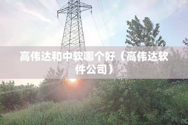 高伟达和中软哪个好（高伟达软件公司）