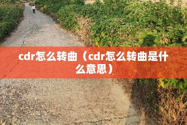 cdr怎么转曲（cdr怎么转曲是什么意思）