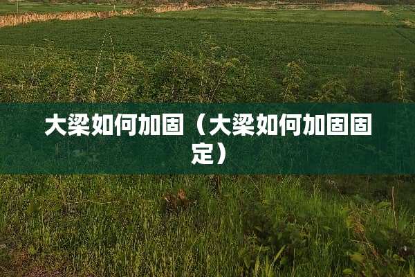 大梁如何加固（大梁如何加固固定）
