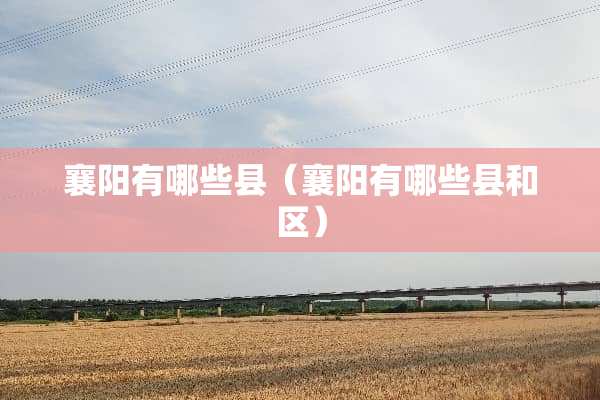 襄阳有哪些县（襄阳有哪些县和区）