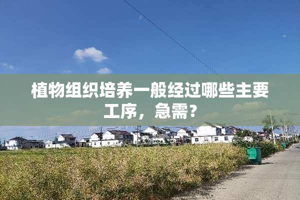 植物组织培养一般经过哪些主要工序，急需？