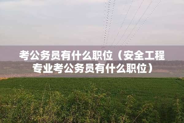 考公务员有什么职位（安全工程专业考公务员有什么职位）