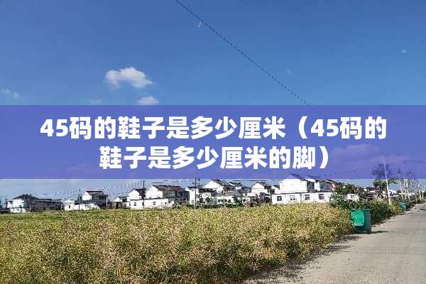 45码的鞋子是多少厘米（45码的鞋子是多少厘米的脚）