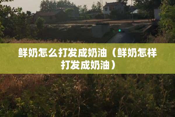 鲜奶怎么打发成奶油（鲜奶怎样打发成奶油）