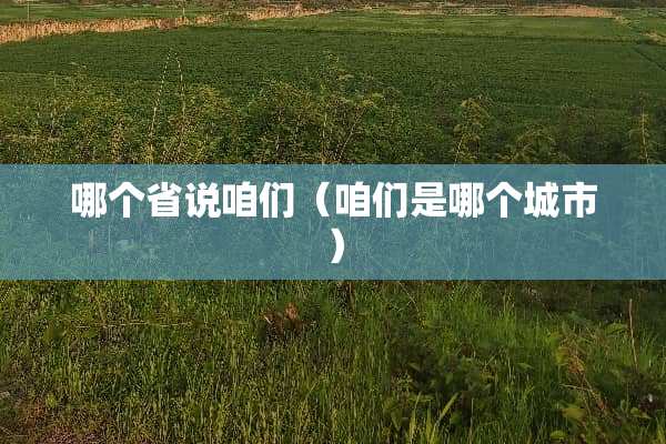 哪个省说咱们（咱们是哪个城市）