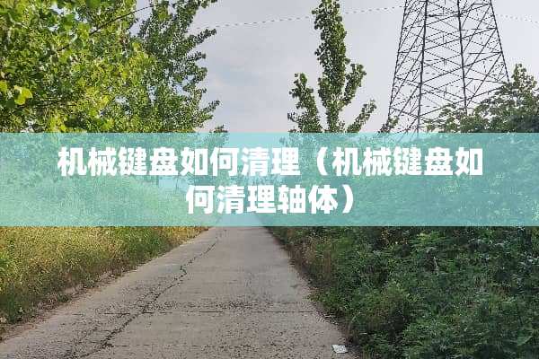 机械键盘如何清理（机械键盘如何清理轴体）