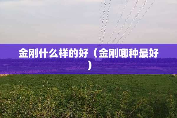 金刚什么样的好（金刚哪种最好）