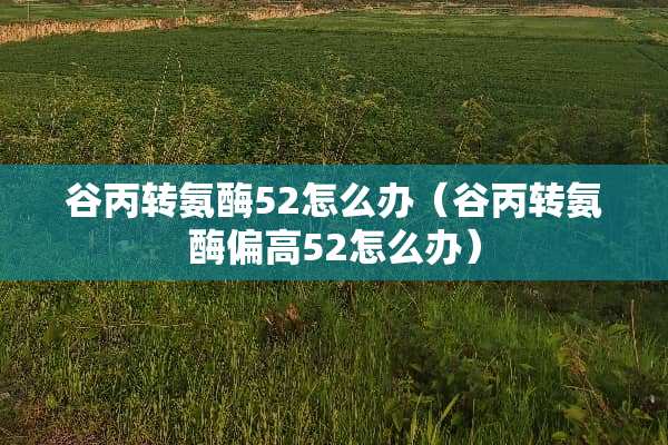 谷丙转氨酶52怎么办（谷丙转氨酶偏高52怎么办）