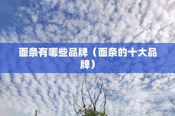 面条有哪些品牌（面条的十大品牌）