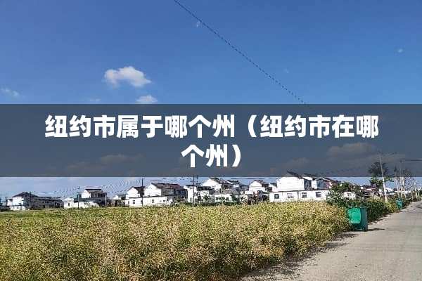 纽约市属于哪个州（纽约市在哪个州）