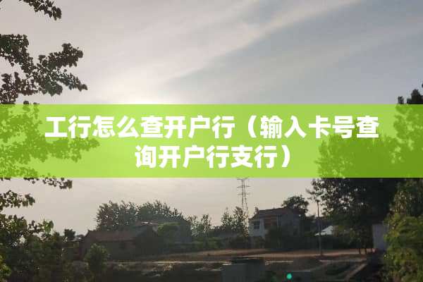 工行怎么查开户行（输入卡号查询开户行支行）