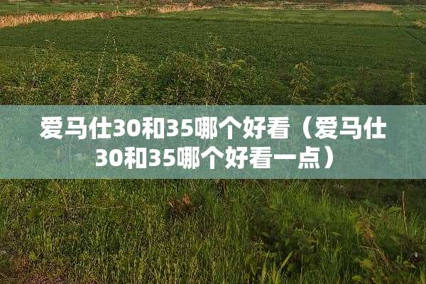 爱马仕30和35哪个好看（爱马仕30和35哪个好看一点）