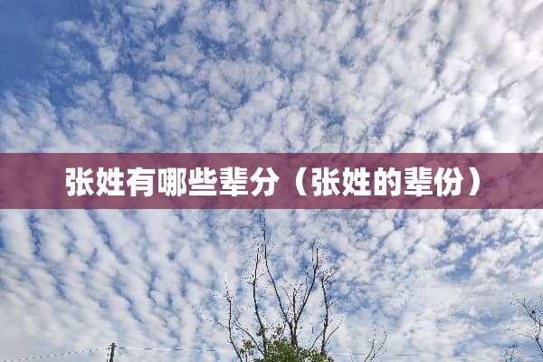 张姓有哪些辈分（张姓的辈份）