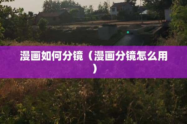 漫画如何分镜（漫画分镜怎么用）