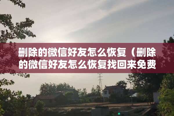 删除的微信好友怎么恢复（删除的微信好友怎么恢复找回来免费）