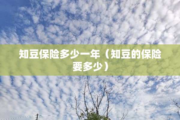 知豆保险多少一年（知豆的保险要多少）