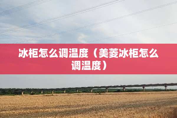 冰柜怎么调温度（美菱冰柜怎么调温度）