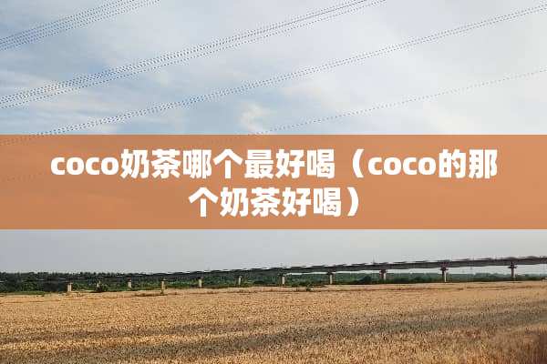 coco奶茶哪个最好喝（coco的那个奶茶好喝）