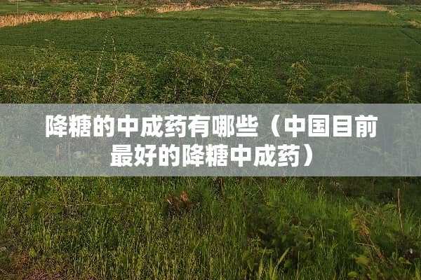 降糖的中成药有哪些（中国目前最好的降糖中成药）